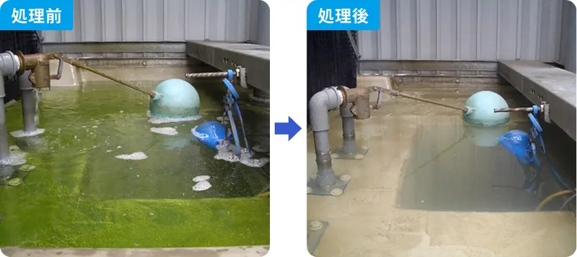 水槽内の処理前は藻類で緑色に濁っていたが、処理後は藻類が除去され透明になった水質改善の様子